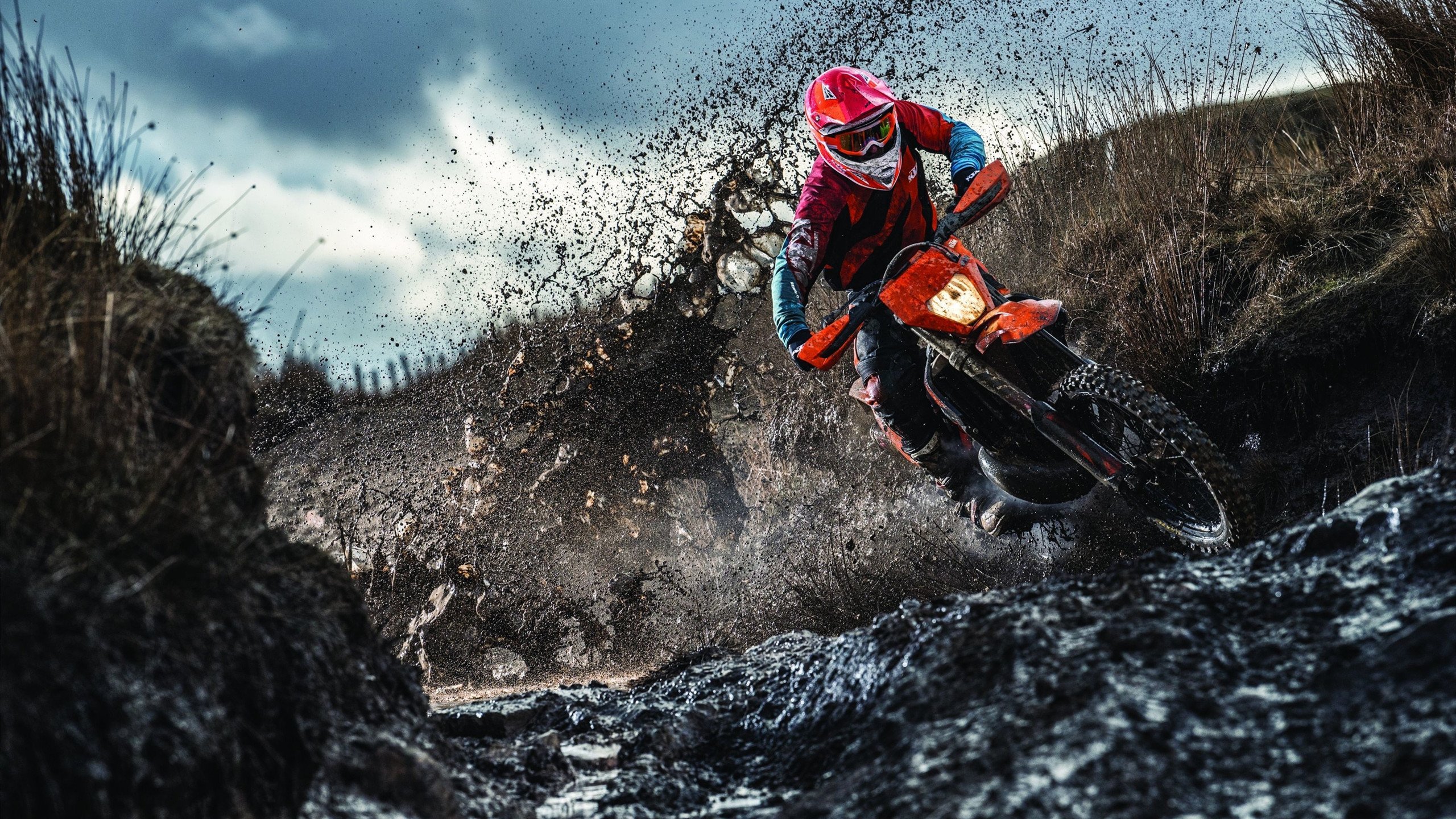 开云·体育官网-_野生动植物保护跑：运动与环保双赢_，野生动植物保护宣传海报